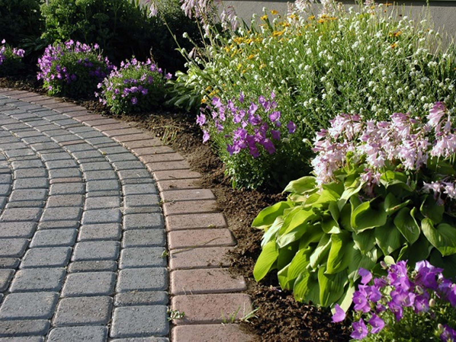 Cobblestone-bordered paver walkway flanked by perennial beds